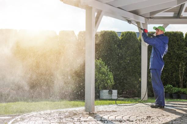 Solar Panel Cleaning in Roodhouse, IL